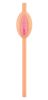 Pussy Straws   8pcs